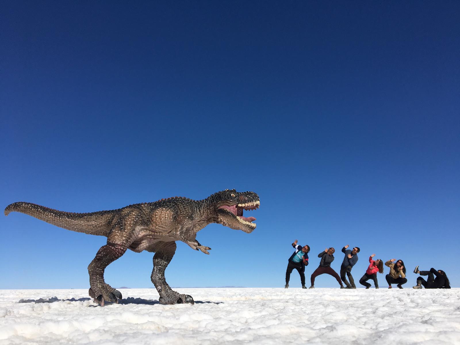 Geleneksel kıyafetli Cholita kadın Bolivya
