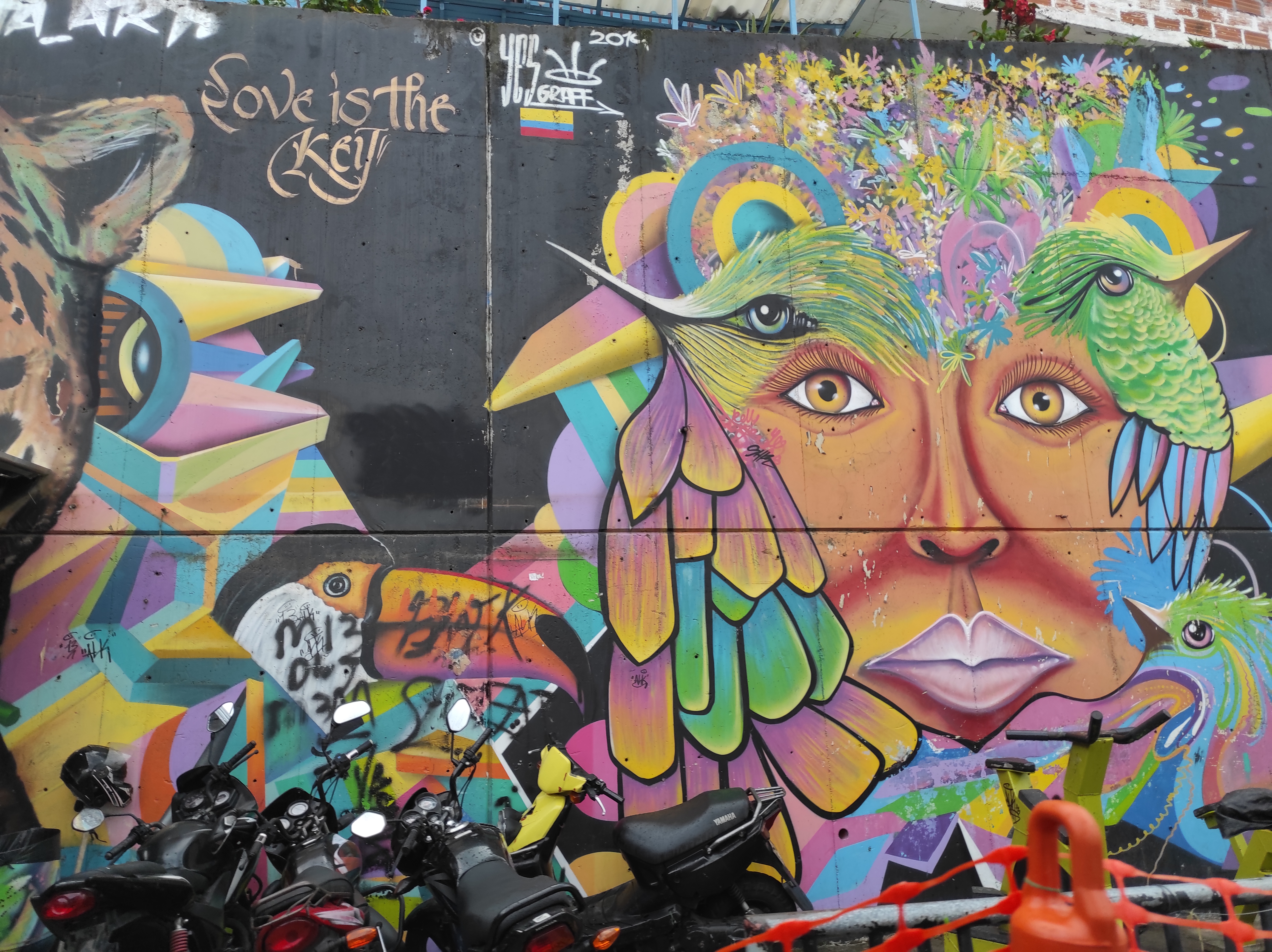 Medellin Kommune 13 renkli grafiti toucan kuş