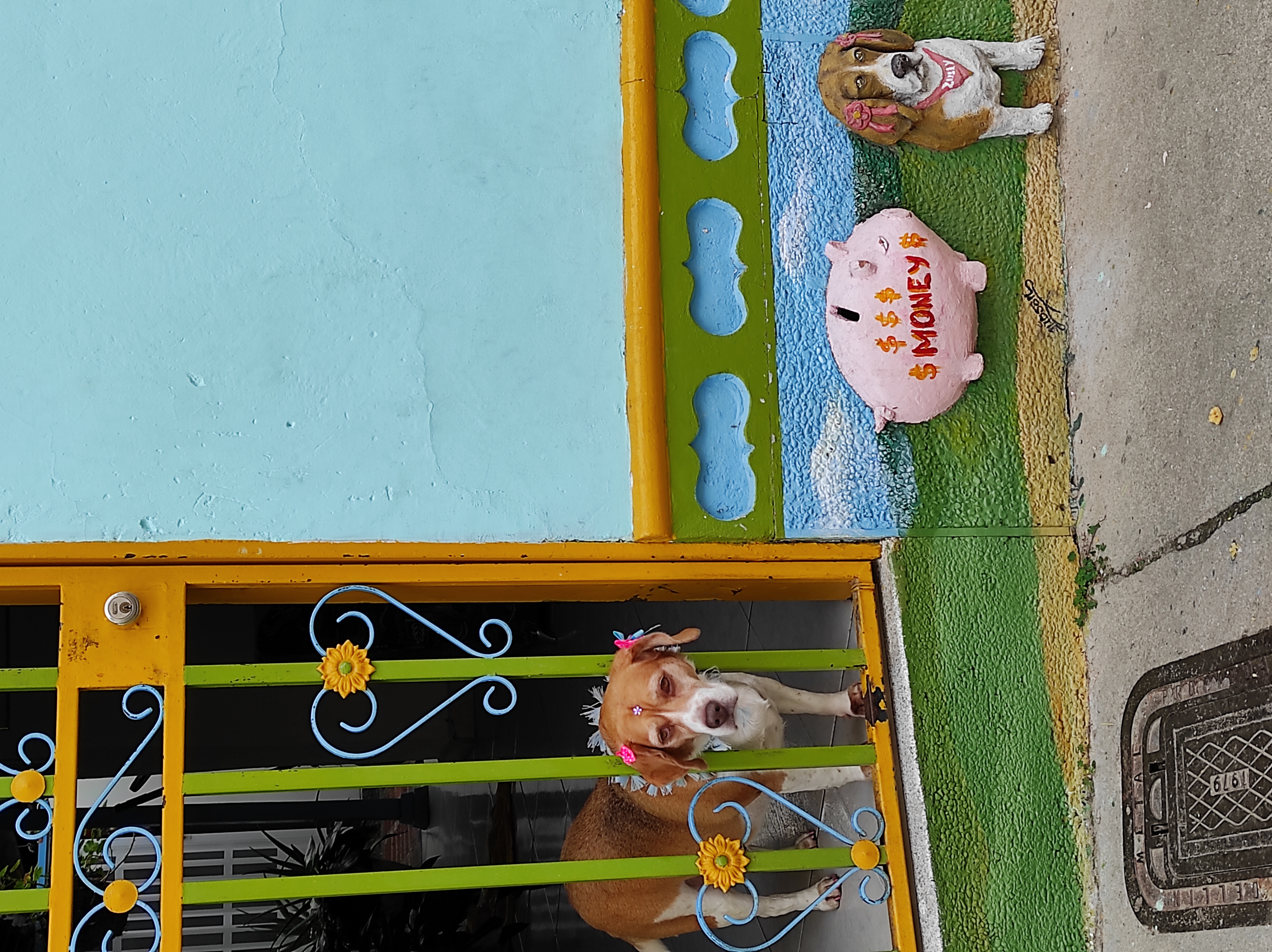 Guatape boyalı ev ve köpek