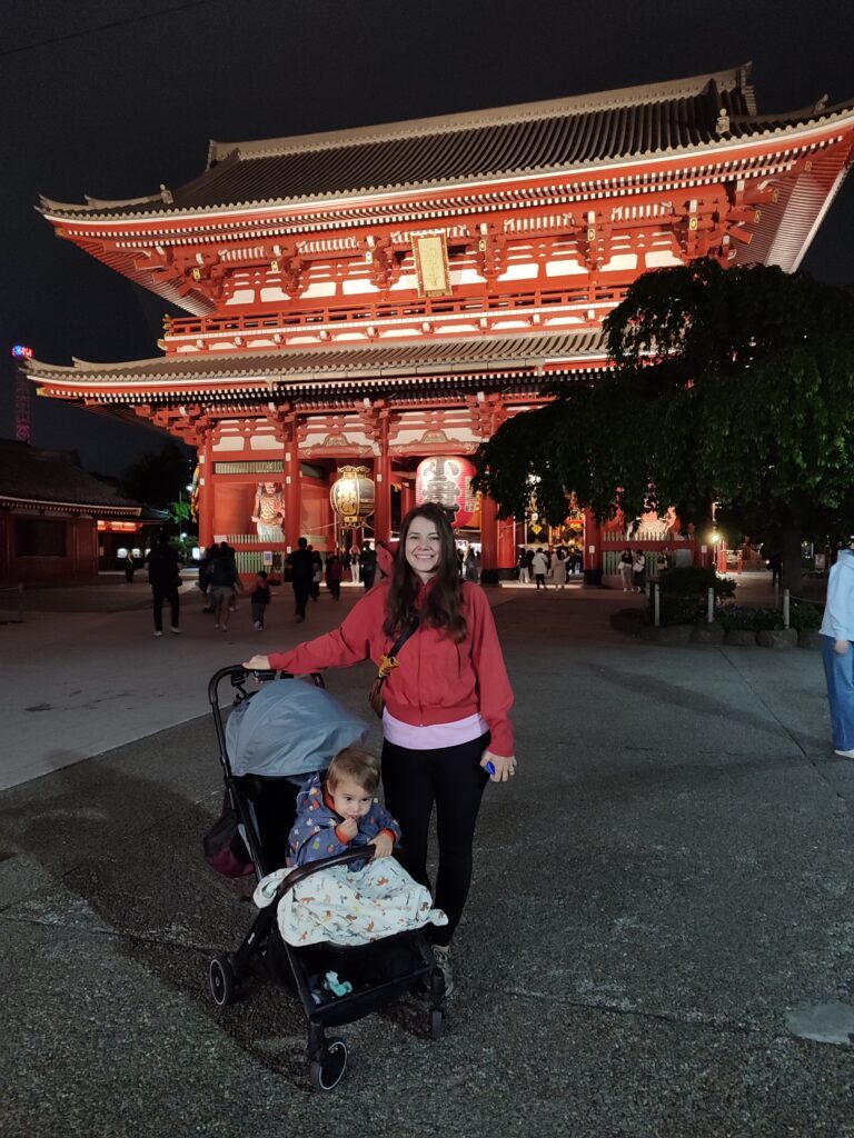 Shinjuku'da Tokyo Metropolitan Kulesi ve şehir manzarası