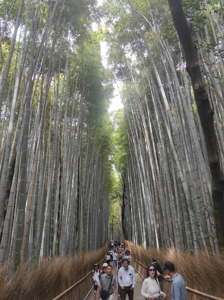 Japonya İkonik Duraklar Fotoğraf 16 - pekgezerler