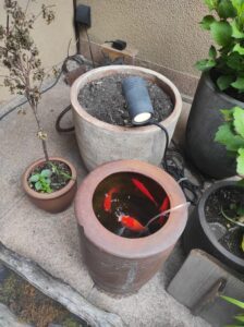 Japonya avlusu koi balığı seramik küp