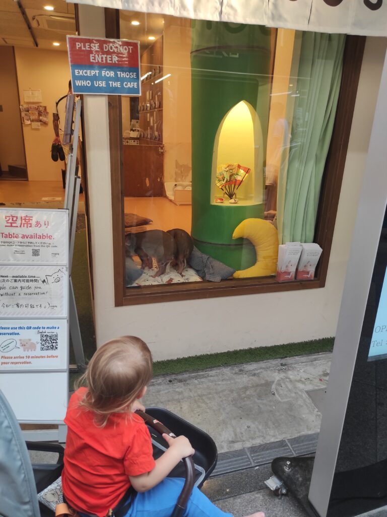 Japonya’da Bizi Şaşırtan 10 İlginç Olay