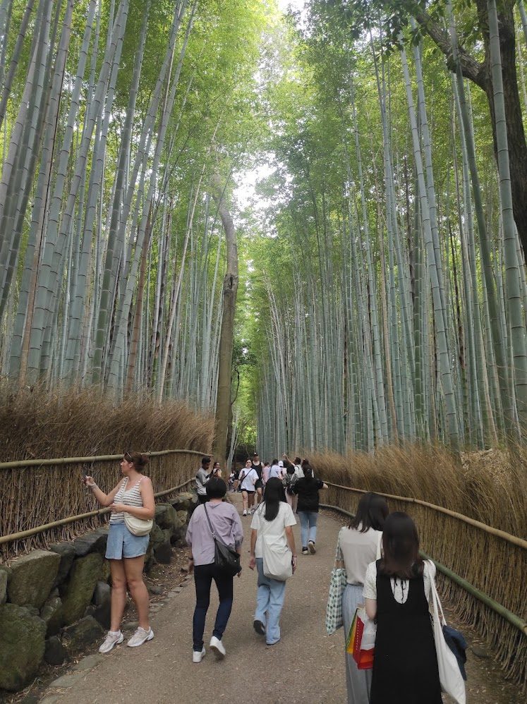 Arashiyama bambu ormanı yolu turistler - Kyoto