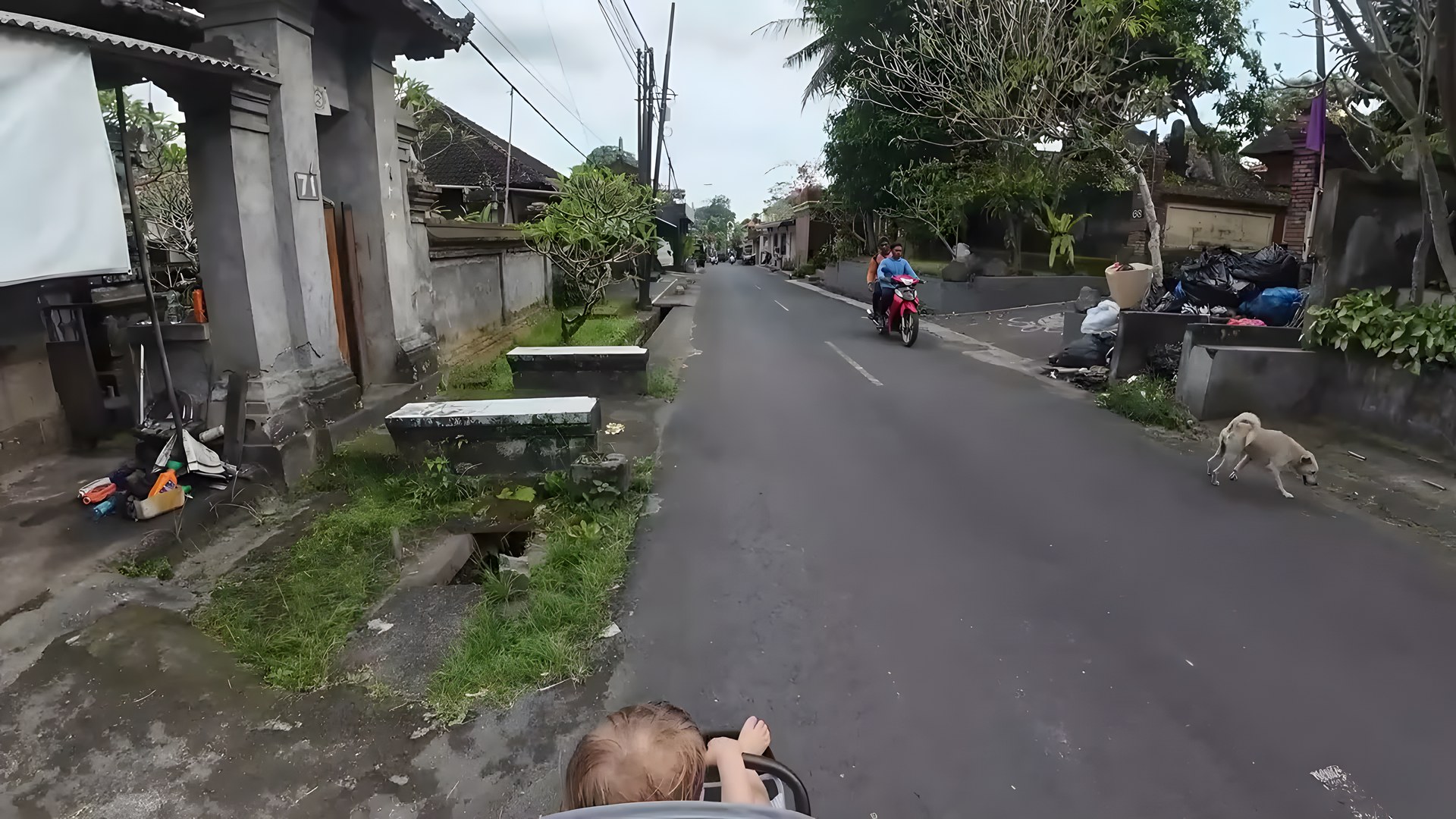 Otantik bir Ubud sokağı ve Bali aile tapınak kapısı