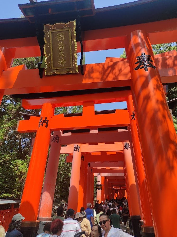 Fushimi Inari turuncu Torii kapıları kalabalık - Kyoto