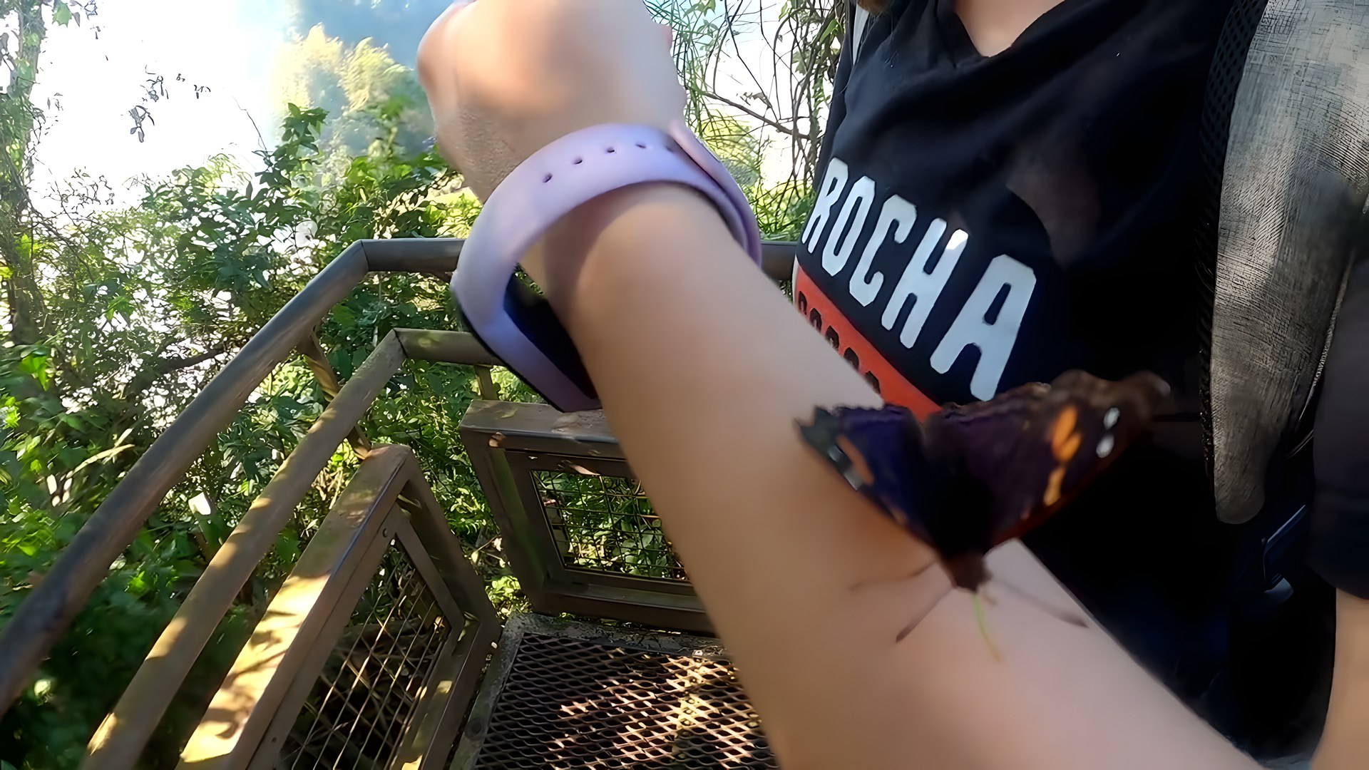 Iguazu Şelaleleri galerisinde bir ziyaretçinin koluna konan rengârenk kelebek