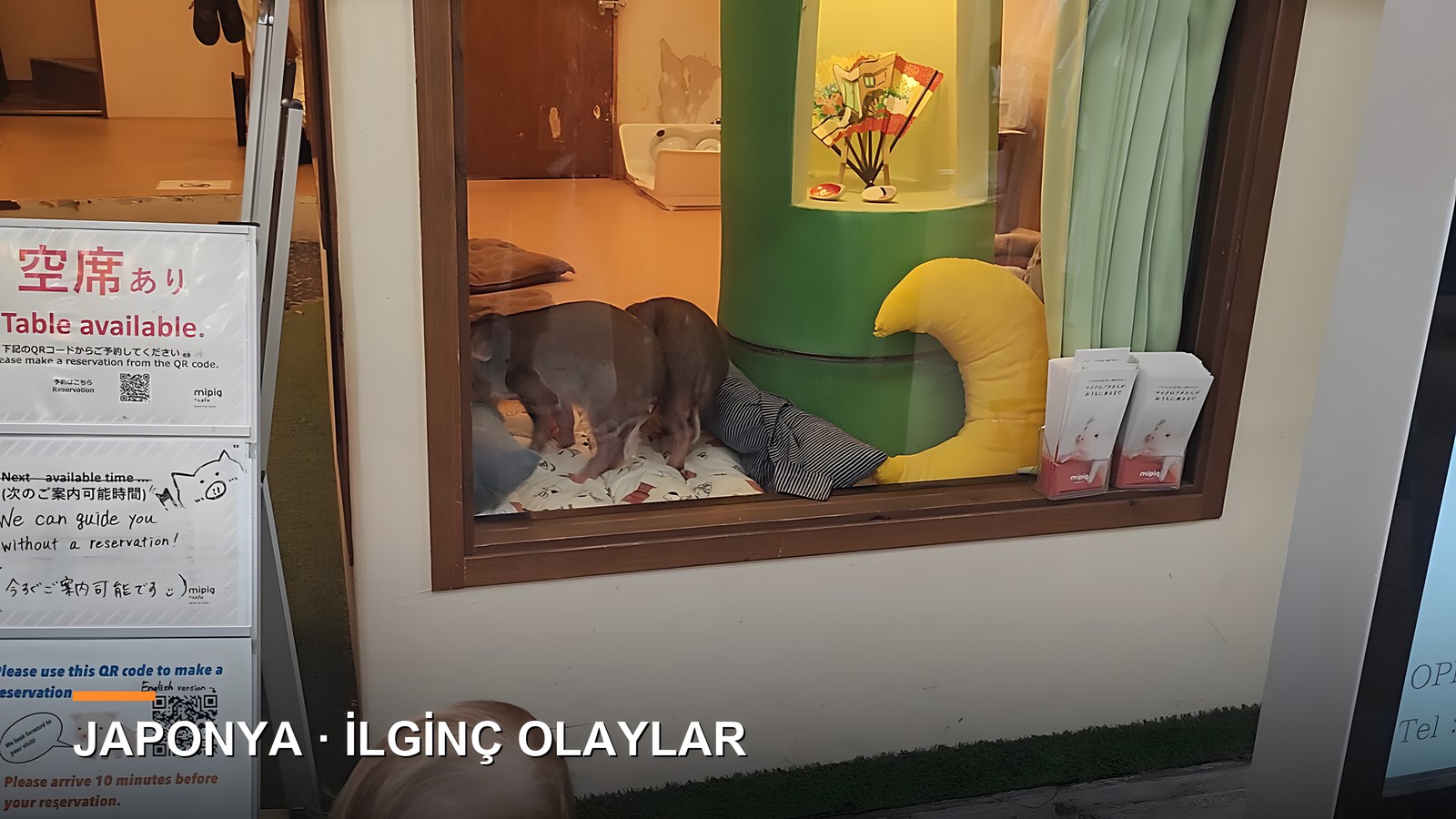 Japonya’da Bizi Şaşırtan 10 İlginç Olay