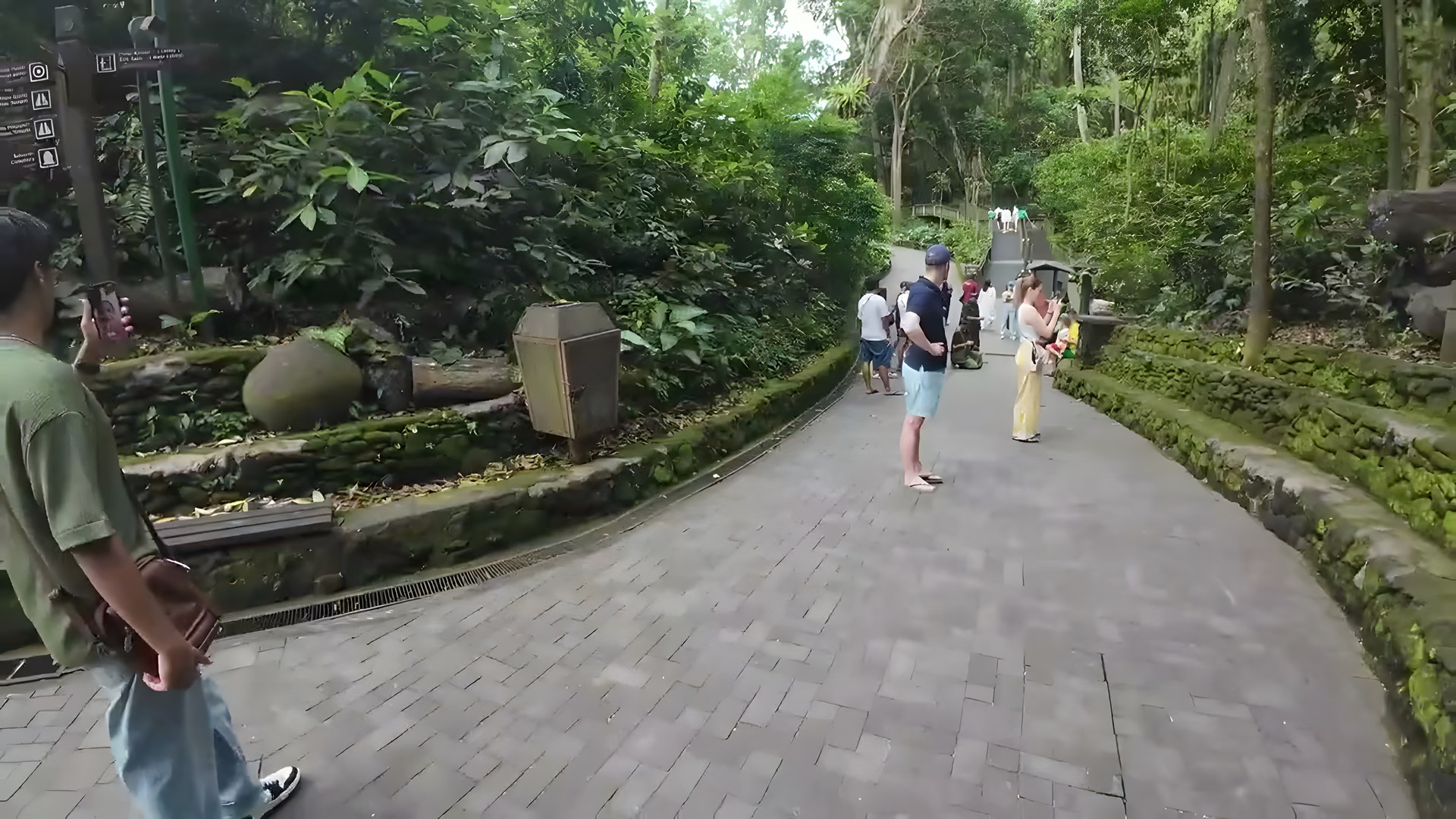 Ubud Kutsal Maymun Ormanı'nın yemyeşil yürüyüş yolu