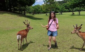 Nara Park Cansel iki geyik arasında yok işareti