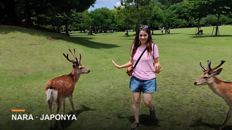 Nara Gezi Rehberi: Japonya'da Kutsal Geyiklerle Buluşma