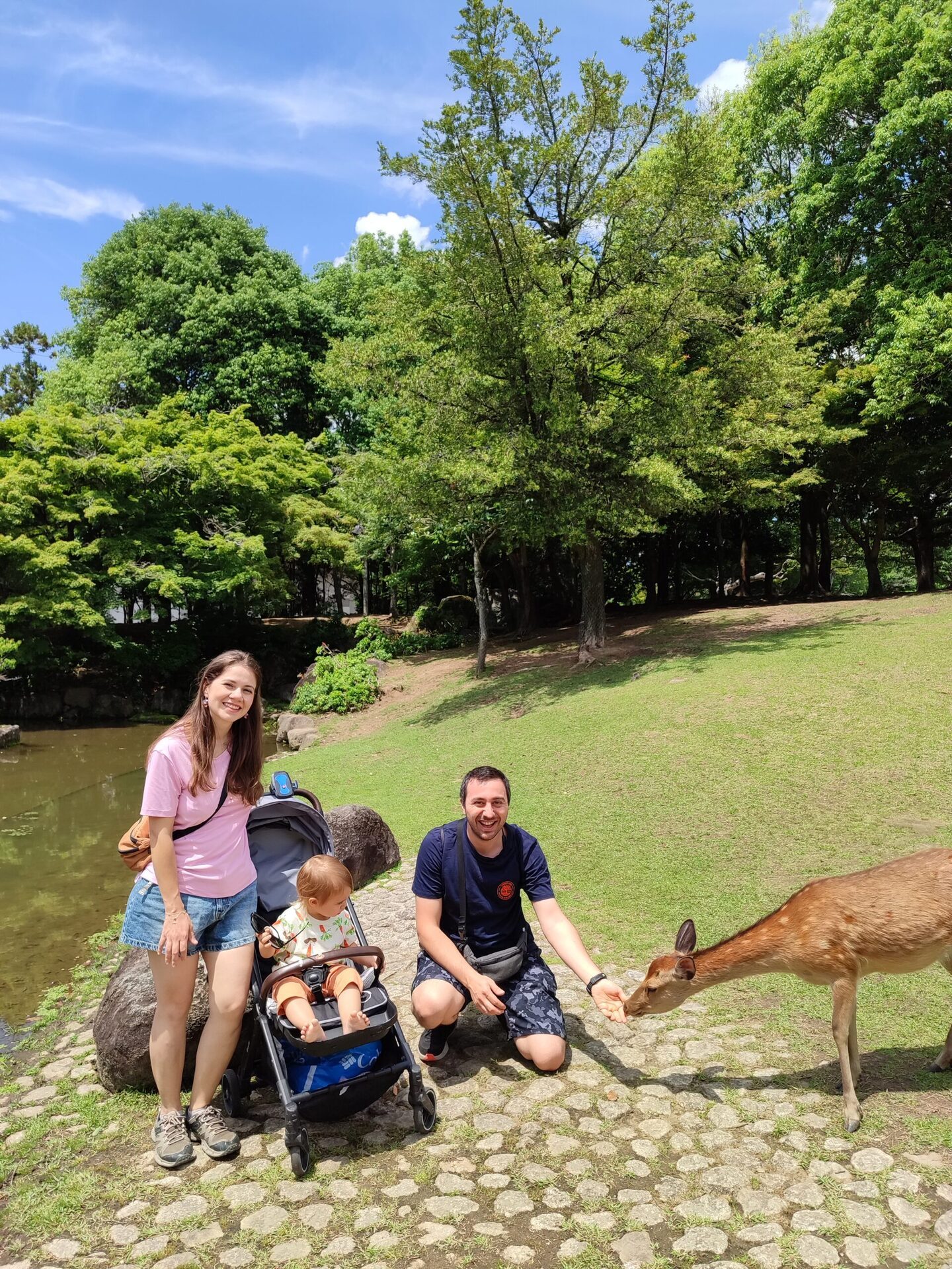 Nara Park geyik beslemek - anne geyiği okşuyor gölet kenarı