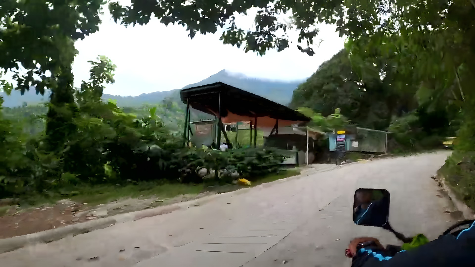 Minca'da sisle kaplı dağ yolu ve yemyeşil orman