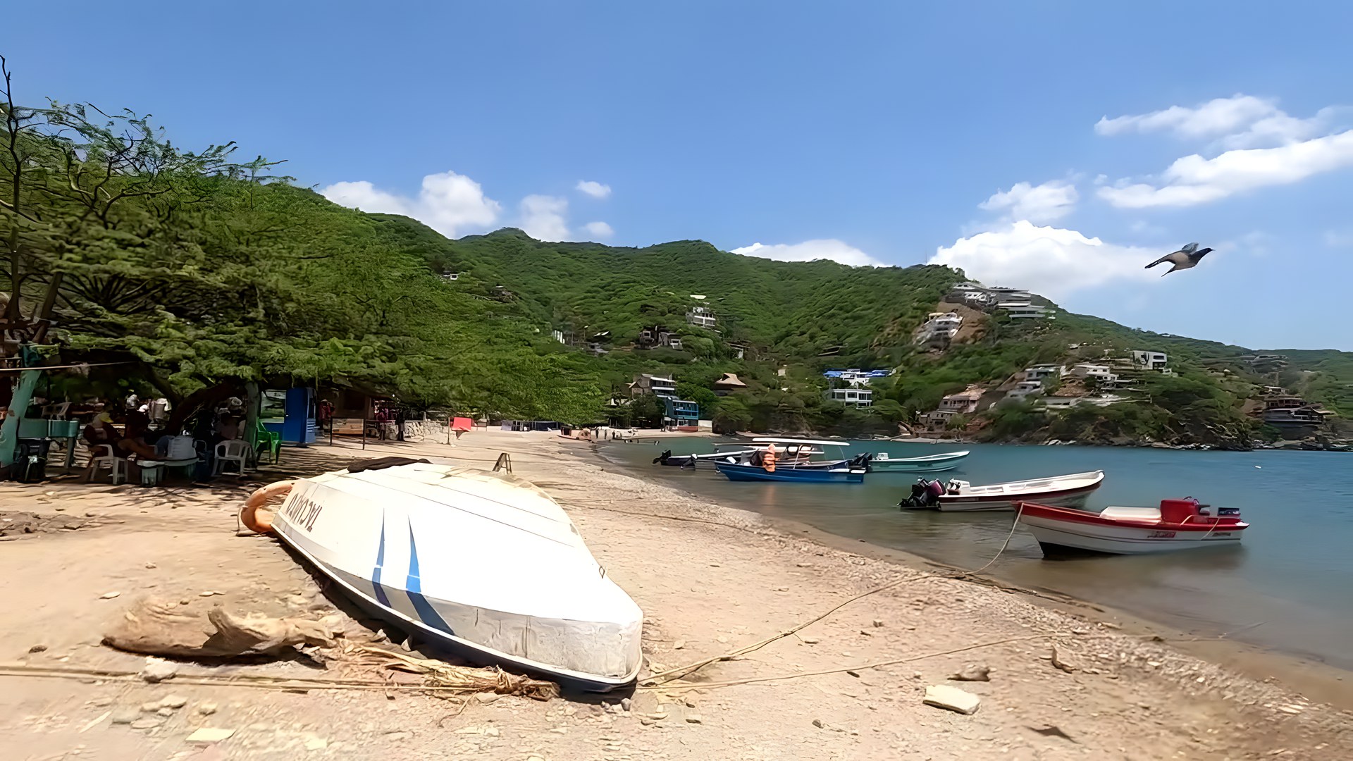 Taganga balıkçı köyünün plajı, kıyıya çekilmiş tekneler ve yeşil tepeler